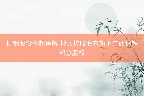 柳钢股份今起停牌 拟买控股股东旗下广西钢铁部分股权
