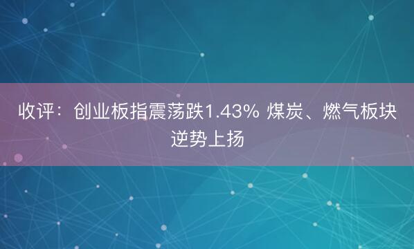 收评：创业板指震荡跌1.43% 煤炭、燃气板块逆势上扬