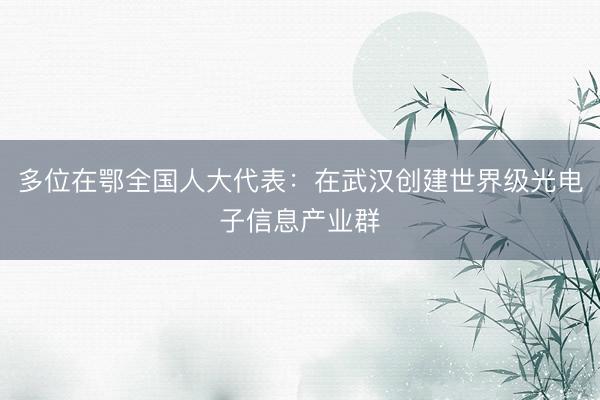 多位在鄂全国人大代表：在武汉创建世界级光电子信息产业群