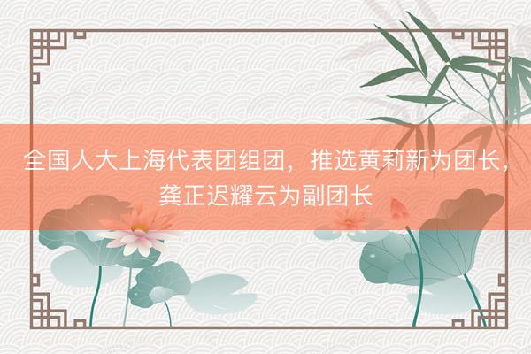全国人大上海代表团组团，推选黄莉新为团长，龚正迟耀云为副团长