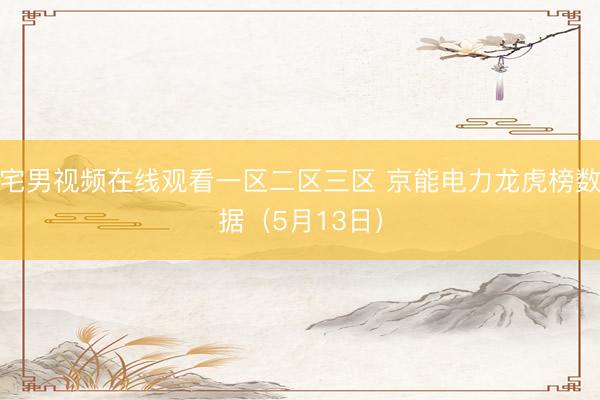 宅男视频在线观看一区二区三区 京能电力龙虎榜数据（5月13日）