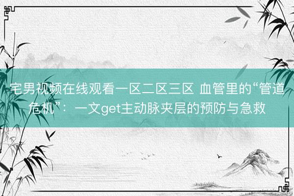 宅男视频在线观看一区二区三区 血管里的“管道危机”：一文get主动脉夹层的预防与急救