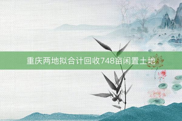 重庆两地拟合计回收748亩闲置土地