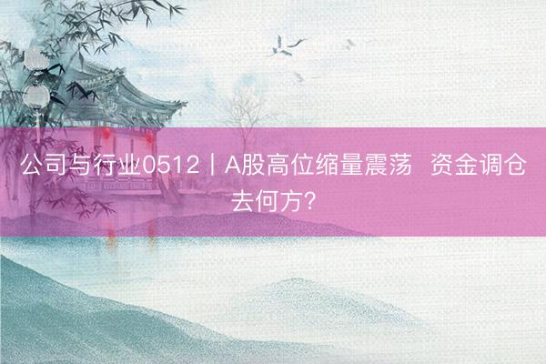 公司与行业0512丨A股高位缩量震荡  资金调仓去何方？
