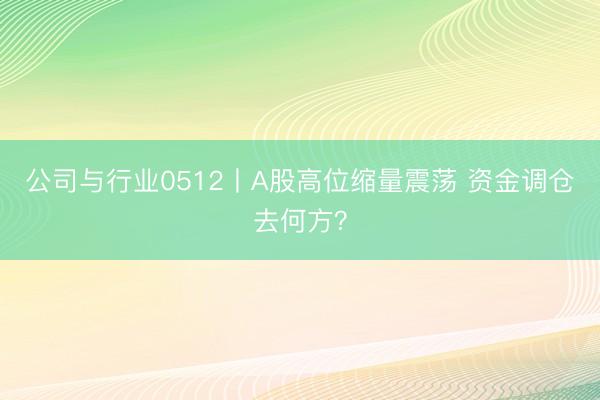 公司与行业0512丨A股高位缩量震荡 资金调仓去何方？