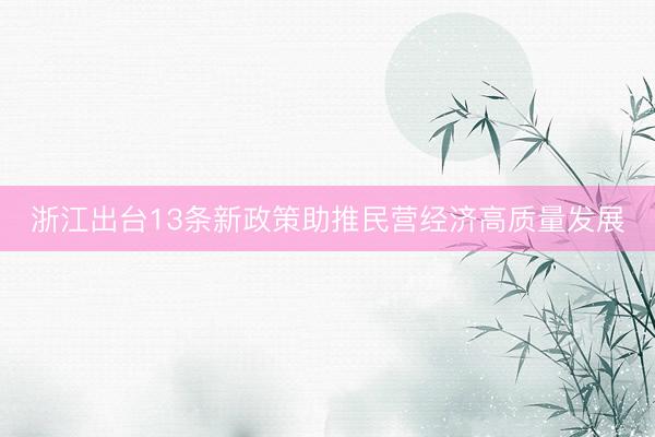 浙江出台13条新政策助推民营经济高质量发展