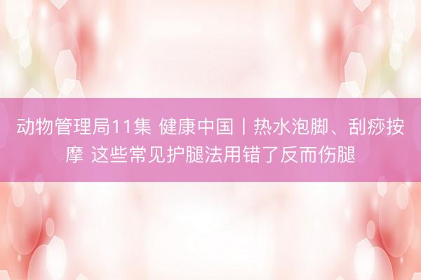 动物管理局11集 健康中国丨热水泡脚、刮痧按摩 这些常见护腿法用错了反而伤腿