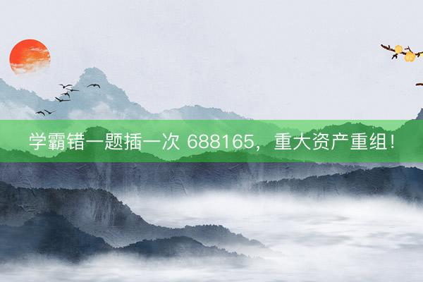 学霸错一题插一次 688165，重大资产重组！