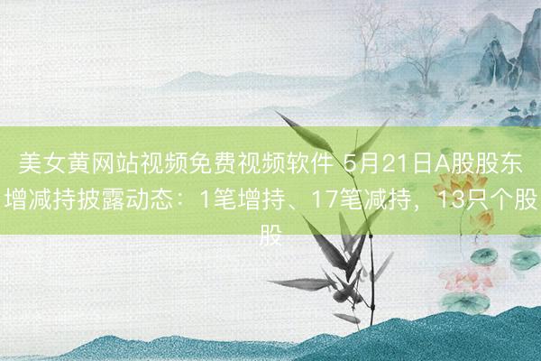 美女黄网站视频免费视频软件 5月21日A股股东增减持披露动态：1笔增持、17笔减持，13只个股