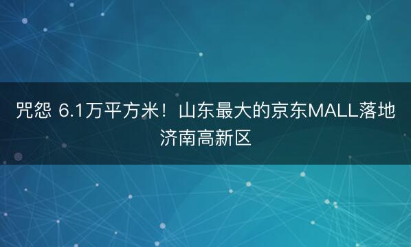 咒怨 6.1万平方米！山东最大的京东MALL落地济南高新区