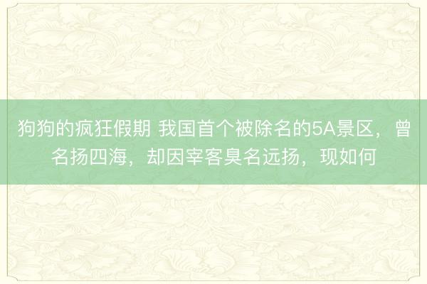 狗狗的疯狂假期 我国首个被除名的5A景区，曾名扬四海，却因宰客臭名远扬，现如何