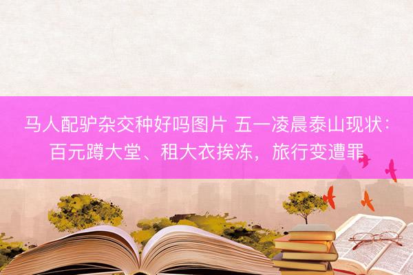 马人配驴杂交种好吗图片 五一凌晨泰山现状：百元蹲大堂、租大衣挨冻，旅行变遭罪