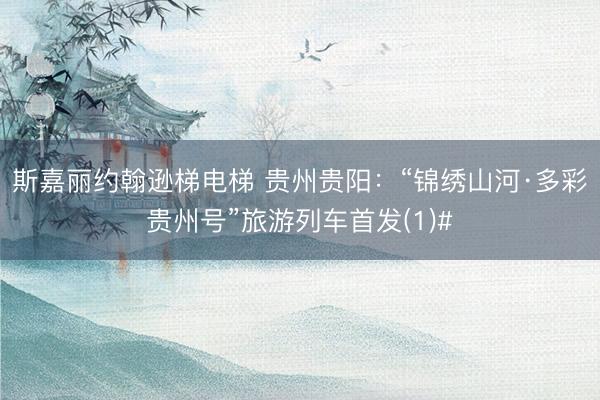斯嘉丽约翰逊梯电梯 贵州贵阳：“锦绣山河·多彩贵州号”旅游列车首发(1)#