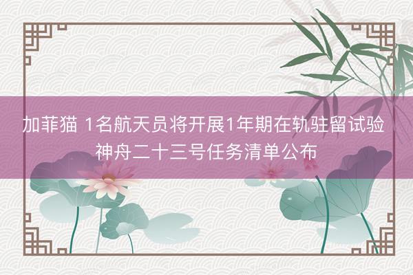 加菲猫 1名航天员将开展1年期在轨驻留试验 神舟二十三号任务清单公布