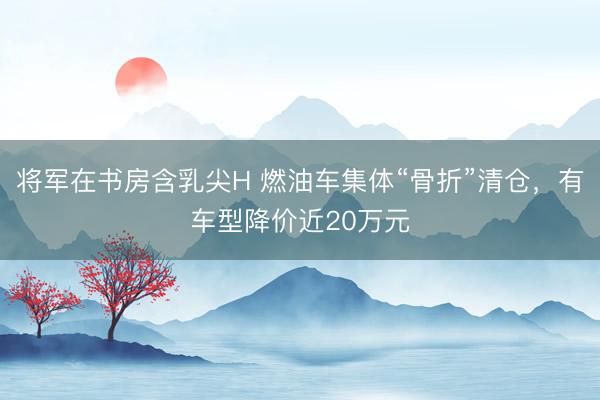 将军在书房含乳尖H 燃油车集体“骨折”清仓，有车型降价近20万元