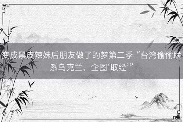 变成黑皮辣妹后朋友做了的梦第二季 “台湾偷偷联系乌克兰，企图‘取经’”