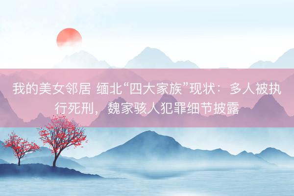 我的美女邻居 缅北“四大家族”现状：多人被执行死刑，魏家骇人犯罪细节披露