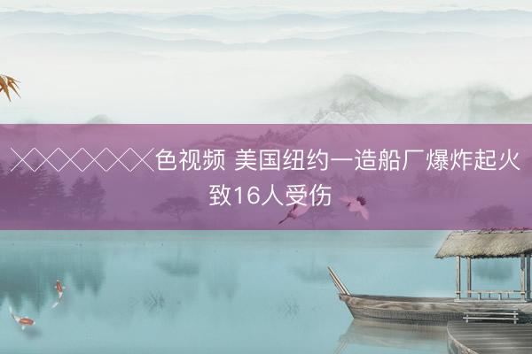 ╳╳╳╳╳╳色视频 美国纽约一造船厂爆炸起火 致16人受伤