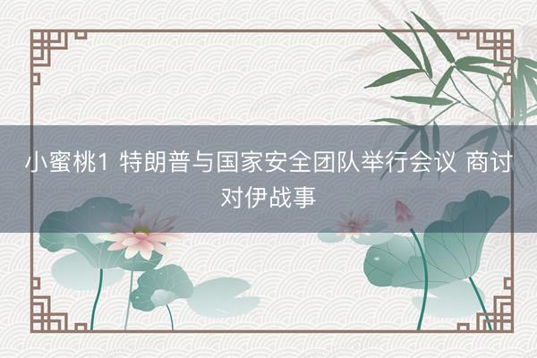 小蜜桃1 特朗普与国家安全团队举行会议 商讨对伊战事