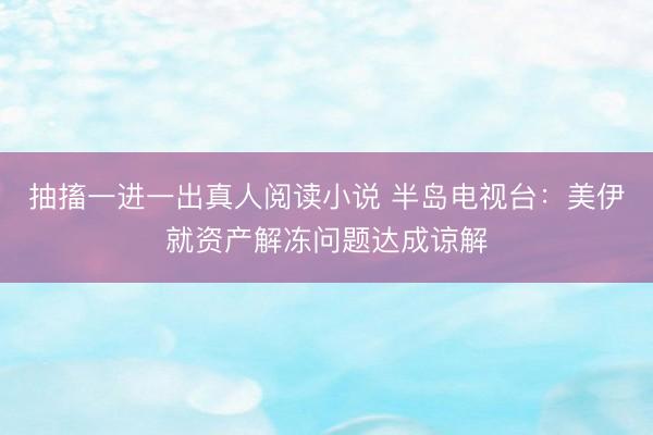 抽搐一进一出真人阅读小说 半岛电视台：美伊就资产解冻问题达成谅解