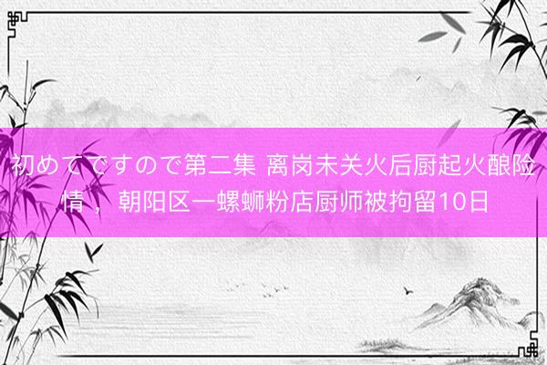 初めてですので第二集 离岗未关火后厨起火酿险情 ，朝阳区一螺蛳粉店厨师被拘留10日