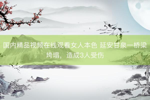 国内精品视频在线观看女人本色 延安甘泉一桥梁垮塌，造成3人受伤