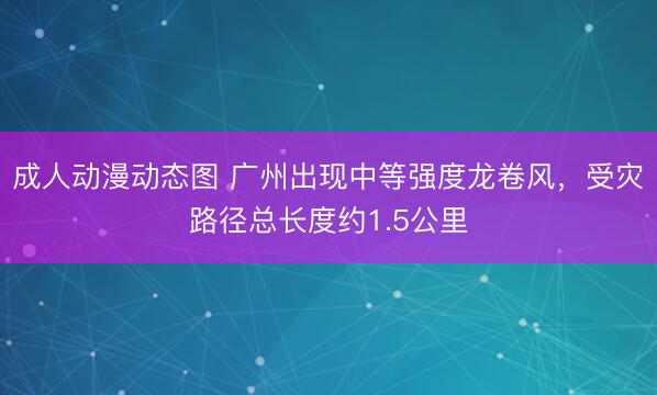 成人动漫动态图 广州出现中等强度龙卷风，受灾路径总长度约1.5公里