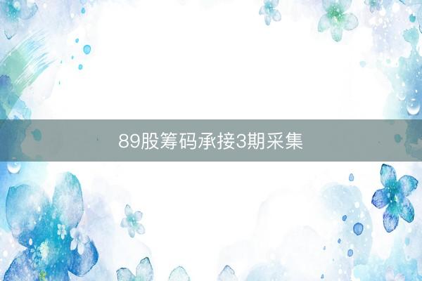 89股筹码承接3期采集