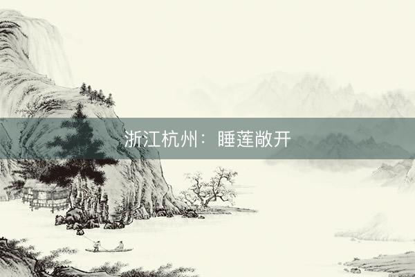浙江杭州：睡莲敞开