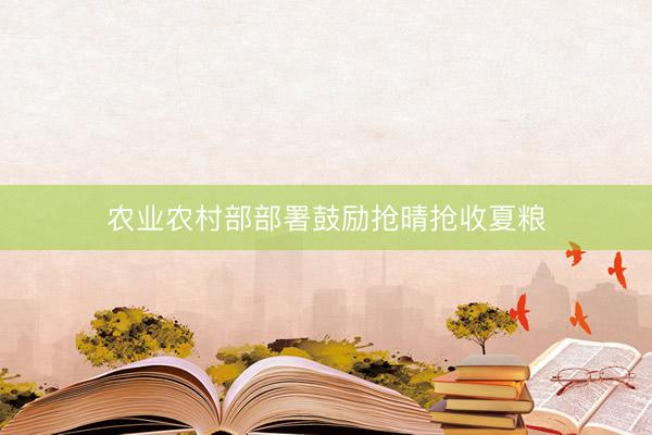 农业农村部部署鼓励抢晴抢收夏粮
