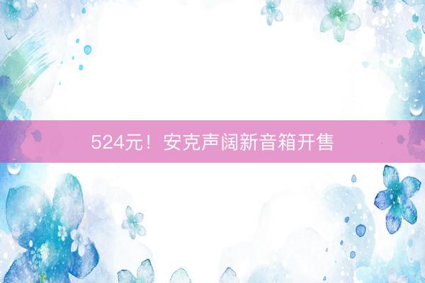 524元！安克声阔新音箱开售