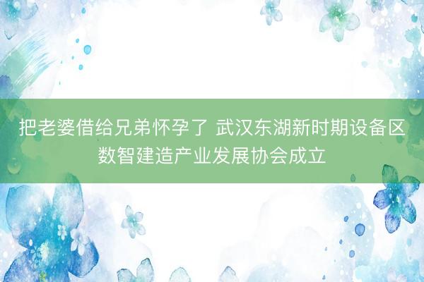 把老婆借给兄弟怀孕了 武汉东湖新时期设备区数智建造产业发展协会成立