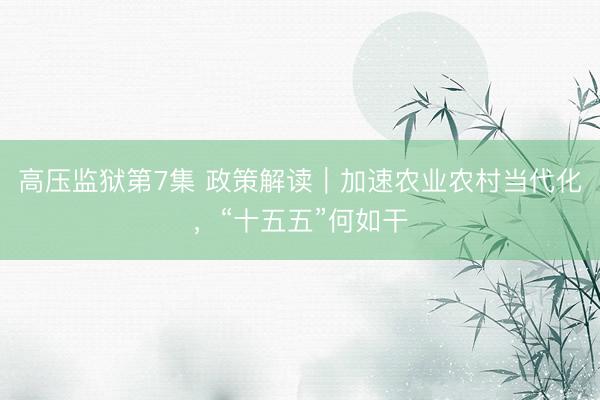 高压监狱第7集 政策解读｜加速农业农村当代化，“十五五”何如干