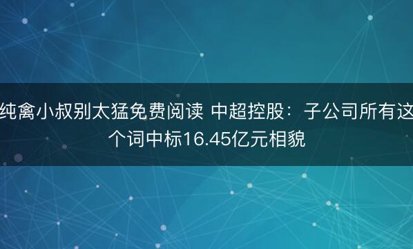 纯禽小叔别太猛免费阅读 中超控股：子公司所有这个词中标16.45亿元相貌
