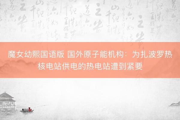 魔女幼熙国语版 国外原子能机构：为扎波罗热核电站供电的热电站遭到紧要