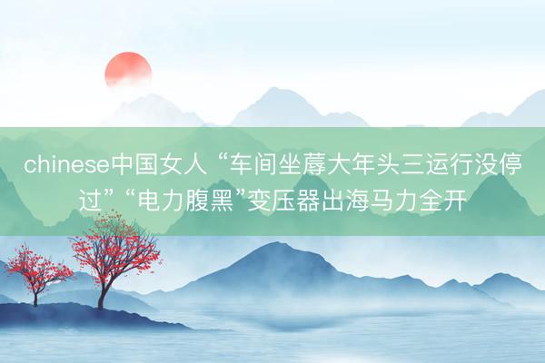 chinese中国女人 “车间坐蓐大年头三运行没停过” “电力腹黑”变压器出海马力全开