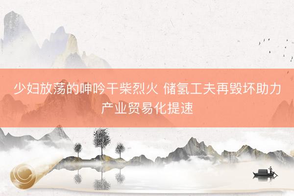 少妇放荡的呻吟干柴烈火 储氢工夫再毁坏助力产业贸易化提速