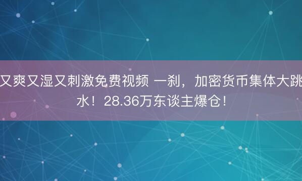 又爽又湿又刺激免费视频 一刹，加密货币集体大跳水！28.36万东谈主爆仓！