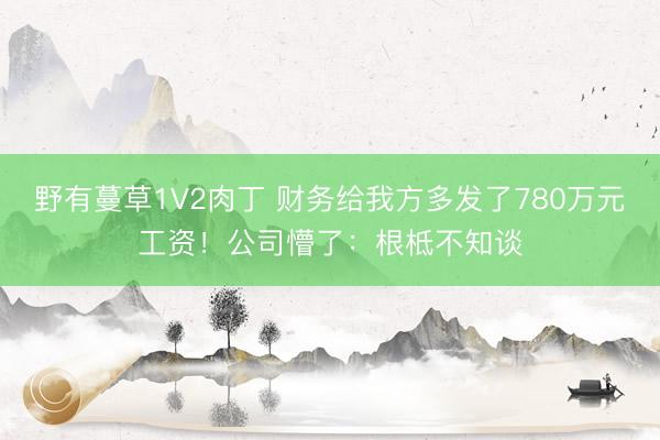 野有蔓草1V2肉丁 财务给我方多发了780万元工资！公司懵了：根柢不知谈