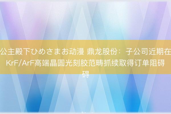 公主殿下ひめさまお动漫 鼎龙股份：子公司近期在KrF/ArF高端晶圆光刻胶范畴抓续取得订单阻碍