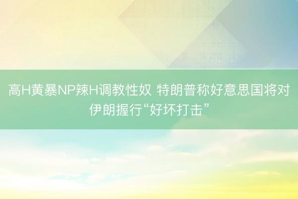 高H黄暴NP辣H调教性奴 特朗普称好意思国将对伊朗握行“好坏打击”