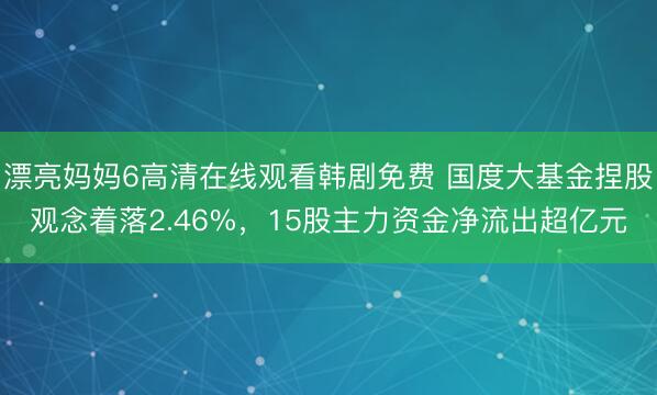 漂亮妈妈6高清在线观看韩剧免费 国度大基金捏股观念着落2.46%,15股主力资金净流出超亿元
