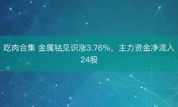 吃肉合集 金属钴见识涨3.76%，主力资金净流入24股