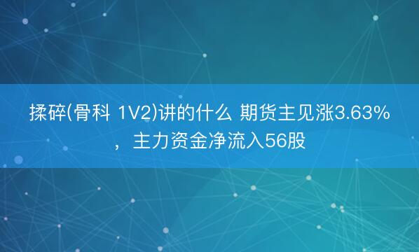 揉碎(骨科 1V2)讲的什么 期货主见涨3.63%，主力资金净流入56股
