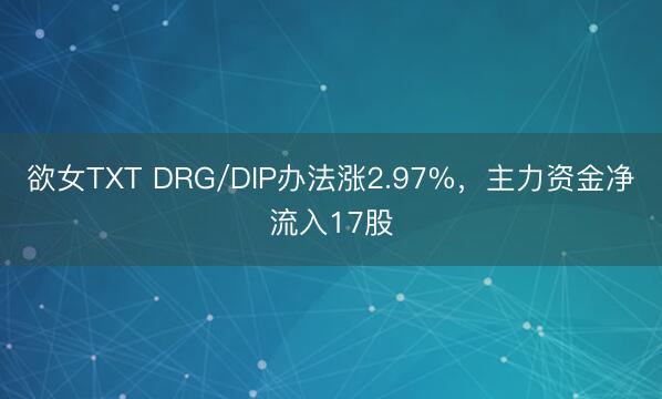 欲女TXT DRG/DIP办法涨2.97%，主力资金净流入17股