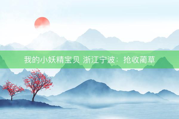 我的小妖精宝贝 浙江宁波：抢收蔺草