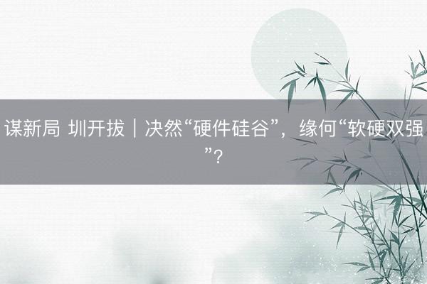 谋新局 圳开拔｜决然“硬件硅谷”，缘何“软硬双强”？