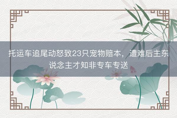 托运车追尾动怒致23只宠物赔本，遭难后主东说念主才知非专车专送