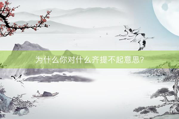 为什么你对什么齐提不起意思？